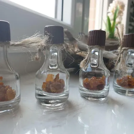 Apartamenty Sztutowo * Sztutowo